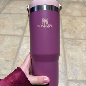 Stanley 30 oz Ice Flow